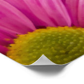 Poster Miracles de Marguerite Gerber Rose (Coin)