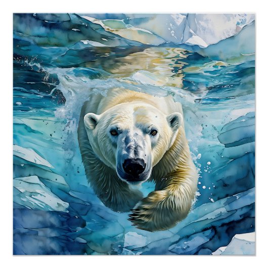 Poster Mirage arctique : Le Monarque de la natation (Devant)