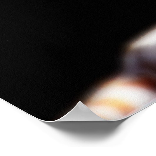 Poster Mirage White Tiger Art (Coin)