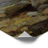 Poster Miranda (Coin)