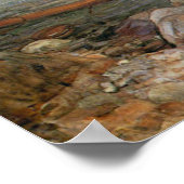 Poster Miranda - Le Tempest - John William Waterhouse (Coin)