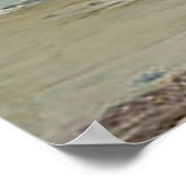 Poster Miranda par John William Waterhouse (Coin)