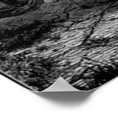 Poster Miriams-Song (Coin)