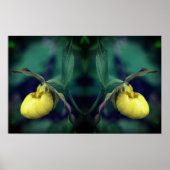 Poster Miroir à fleurs de chèvre jaune Abstrait (Devant)
