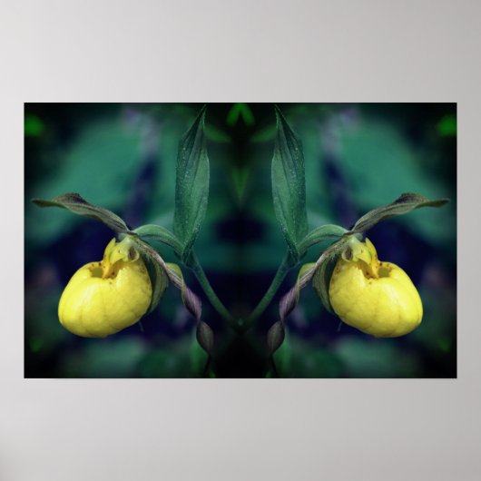 Poster Miroir à fleurs de chèvre jaune Abstrait (Devant)