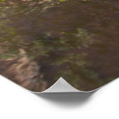 Poster Miroir Canyon (Coin)