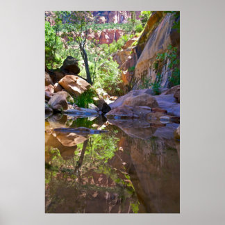 Poster Miroir Canyon