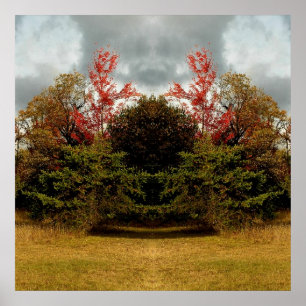Poster Miroir d'automne