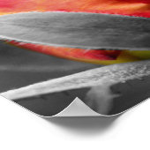 Poster Miroir de couleur partielle Red Rosebud Abstrait (Coin)