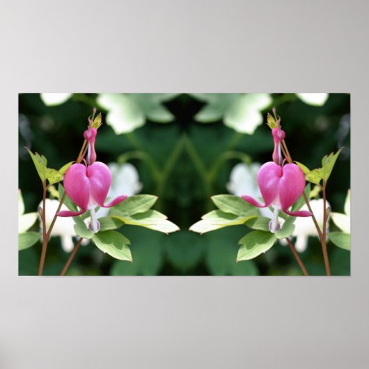 Poster Miroir de fleurs cardiaques à hémorragie rose Abst (Devant)