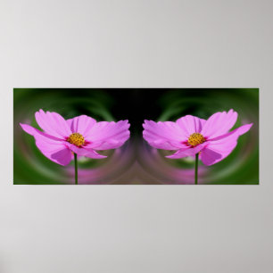 Poster Miroir de fleurs Cosmos rose unique Abstrait