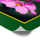Poster Miroir de fleurs Cosmos rose unique Abstrait (Coin)