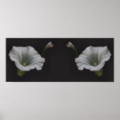 Poster Miroir de fleurs de couleur blanche matin Abstrait (Devant)