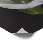 Poster Miroir de fleurs de couleur blanche matin Abstrait (Coin)