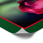 Poster Miroir de flexion rouge Rosebud Abstrait (Coin)