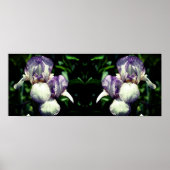 Poster Miroir Fleur Iris Blanc Violet Porté Abstrait (Devant)