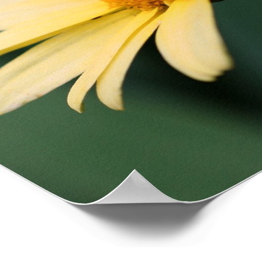 Poster Miroir Fleur Jaune Fleur Abstrait (Coin)