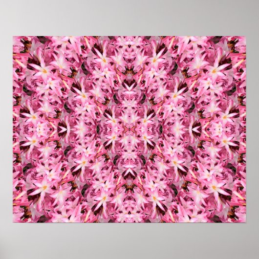 Poster Miroirs d'Amaryllis.... (Devant)