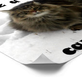 Poster Mischievous Maine Coon dans la neige (Coin)