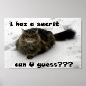 Poster Mischievous Maine Coon dans la neige (Devant)