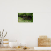 Poster MISE À JOUR - Tracteurs antiques sur écran (Cuisine)