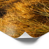 Poster Mise en oeuvre de la Bible Inspirationnelle Verse  (Coin)