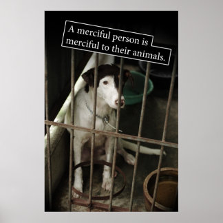 Poster Miséricordieux aux animaux