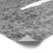 Poster Miss Columbia et Lady Liberty : 1919 (Coin)