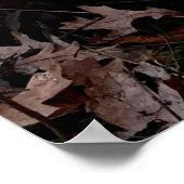 Poster Missile de canard sur la plaque de lancement (Coin)