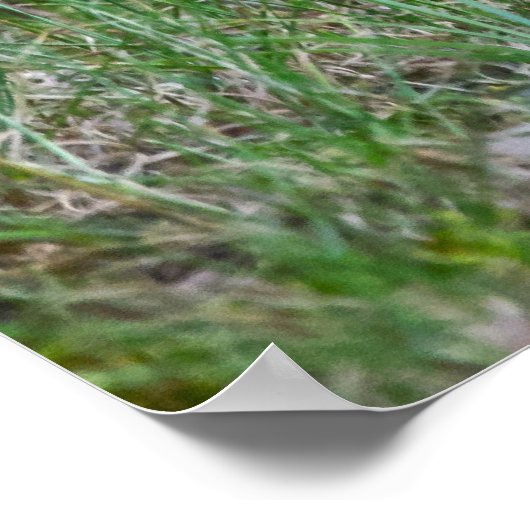 Poster "Missing You" (Coin)