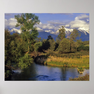 Poster Mission Creek traverse le National Bison