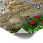 Poster Mission Espada Door (Coin)