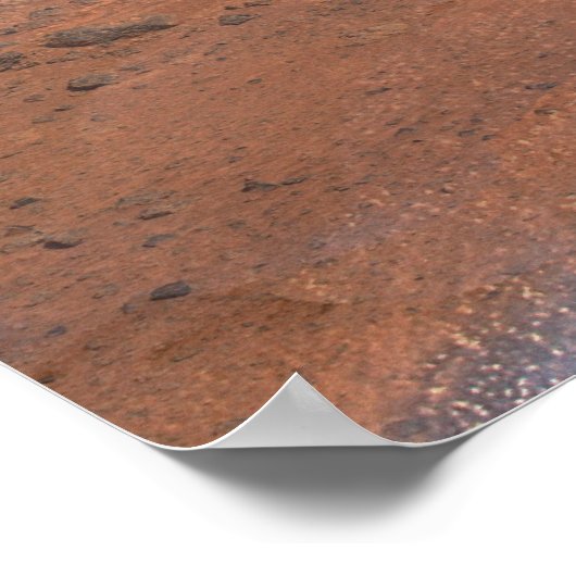 Poster Mission Phoenix Mars (Coin)