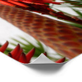 Poster Mission San Diego (Coin)