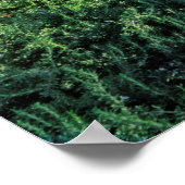 Poster Mission San Luis Obispo de Tolosa (Coin)