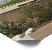 Poster Mission San Xavier (Coin)