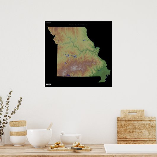 Poster Missouri NED (Cuisine)