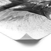 Poster Mister Cat (Coin)