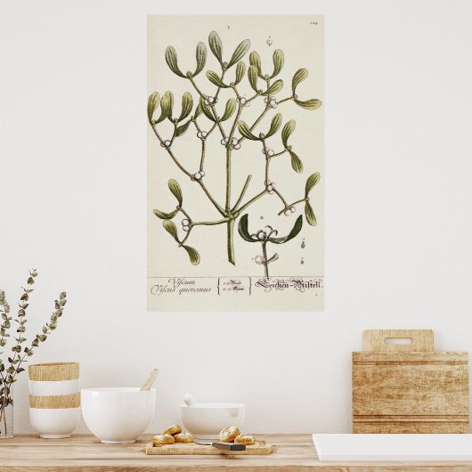 Poster Mistletoe de 'A Curious Herbal', 1782 (Cuisine)