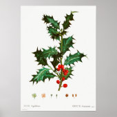 Poster Mistletoe de Noël (Devant)