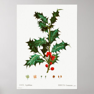 Poster Mistletoe de Noël
