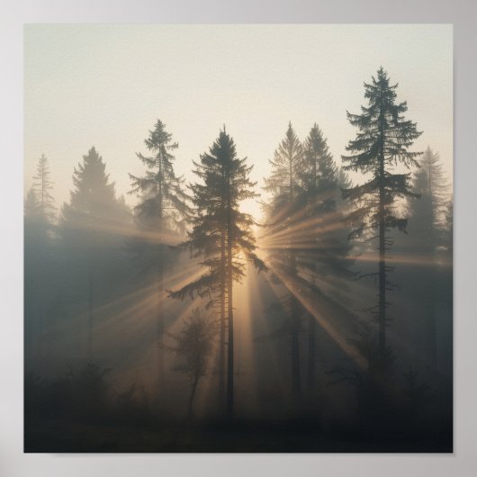 Poster Misty Forest Morning Landscape (Devant)
