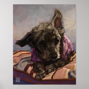 Poster Misty le Caniche