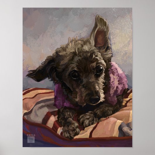 Poster Misty le Caniche (Devant)