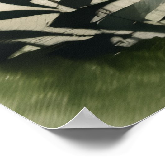 Poster Misty Morning In The Mountains (Coin)