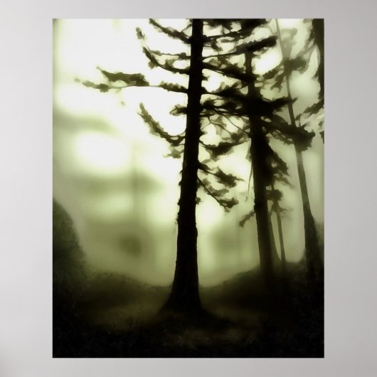 Poster Misty Morning Monotone Forest Paysage (Devant)