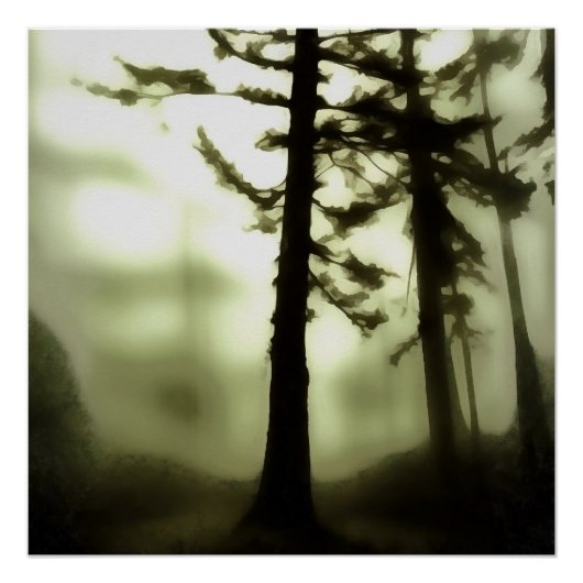 Poster Misty Morning Monotone Forest Paysage (Devant)