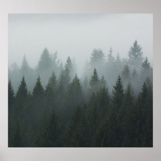 Poster Misty Mountain Forest Brouillard d'automne (Devant)