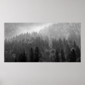 Poster Misty Pine Forest Black and White Landscape (Devant)