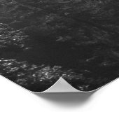 Poster Misty Pine Forest Black and White Landscape (Coin)